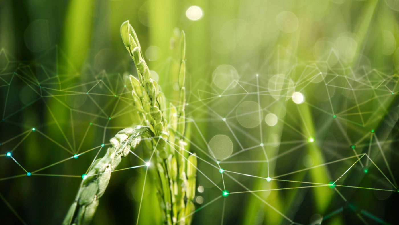 Inteligência de dados no agronegócio: como transformar dados em decisões?